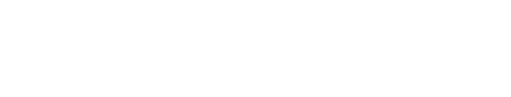 BDM Financial Services Logo
